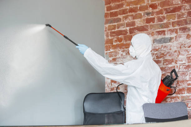 Best Industrial Mold Remediation  in Cayce, SC