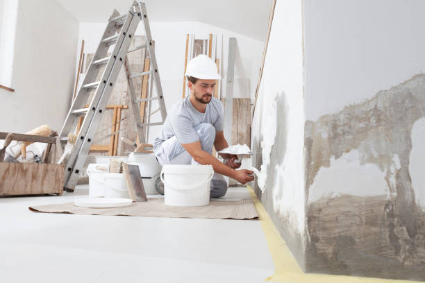 Best Industrial Mold Remediation  in Cayce, SC
