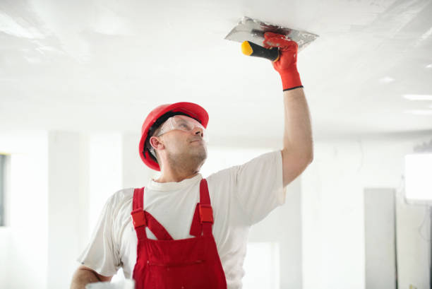 Best Mold Odor Removal Services  in Cayce, SC